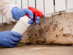 Best Residential Mold Inspection & Testing  in Gunter, TX